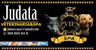 Veterinaria&spa JUDATA VIP