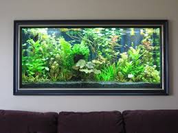 I Ve Always Wanted A Giant Aquarium Built Into The Wall Wall Aquarium Fish Tank Wall Fish Aquarium Decorations