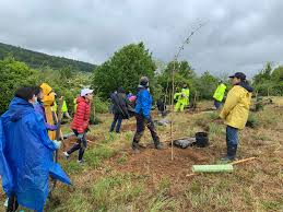 Happy Arbor Day! 🌳 There's no better way to celebrate than planting a tree  and making a real impact. Every tree you plant can count toward Maryland's  goal of 5 million trees.
