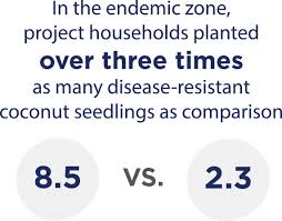 During an epidemic the disease will normally spread in two weeks or less. Fighting Coconut Crop Disease In Mozambique Millennium Challenge Corporation