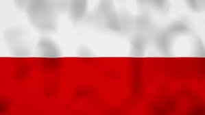 Someone asked what other nearby countries' pages looked like for comparison. Poland Flag On The Wind Stock Footage Video 100 Royalty Free 1022422474 Shutterstock