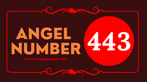 Angel Number 443 Meaning: Love, Twin Flame Reunion, and Luck | My Today's  Horoscope
