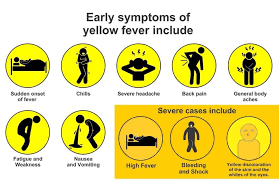 Image result for Yellow Fever