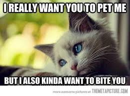 Most funny jokes in english for ever that make you laugh out loud. Funny Jokes Makes U Laugh Home Facebook