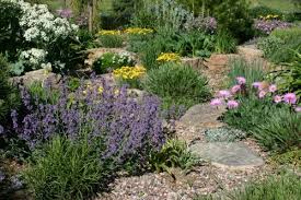 Springtime Splendor Ii Xeriscape Landscaping Low Water Gardening Xeriscape