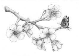 Check It Out Tato Bunga Sakura Menggambar Pohon Lukisan Bunga