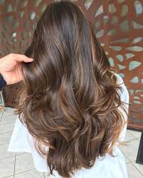 79 Honey Bayalage Highlights On Brunette Base Hair Colour In 2019 33 Hair Styles Prom Hairstyles For Long Hair Haircuts For Long Hair