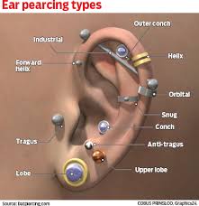 Ear Piercing Diagram Wiring Schematic Diagram