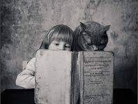 rose gold foil world map matthew 28 poster by rachel tenney world map bard college