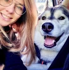 What are some funny or charming quirks of Huskies?