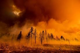 Climate change can also refer to climate trends at any point in earth's history. Study Which Countries Will Best Survive A Collapse The New York Times