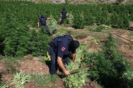 Σχετική εικόνα