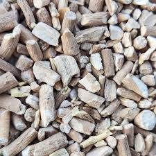 Image result for Withania