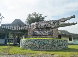 Check spelling or type a new query. Melihat Kawanan Buaya Dari Dekat Di Taman Buaya Indonesia Jaya