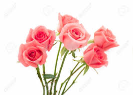 Check spelling or type a new query. Isolate Image Of Beautiful Pink Rose Flower Bouquet On White Background Valentine Day Love And Wedding Concept Stock Photo Picture And Royalty Free Image Image 84492331