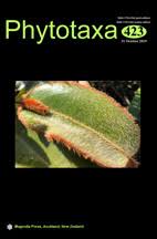 Image result for Euphorbia crebrifolia