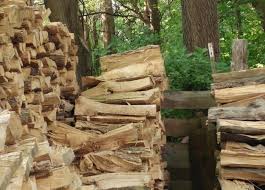 Mencari objek tersembunyi hidden koleksi bbm cikgu zuraidah facebook. Carilah Binatang Pada 5 Gambar Ini Tes Kejelian Matamu