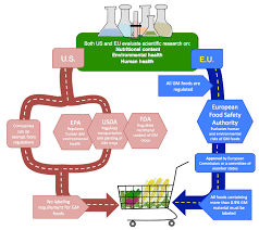 Recent papers in food regulations. Same Science Different Policies Regulating Genetically Modified Foods In The U S And Europe Science In The News
