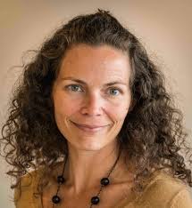 UvA'er onderzoekt bosbranden: 'Als we niets doen, verandert de Amazone in  een savanne'