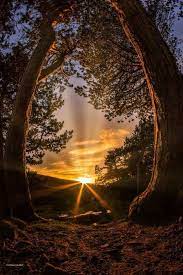 Feel free to use all of these nature images for commercial use. Welcome To Nature On Twitter Nature Photography Nature Beautiful Nature