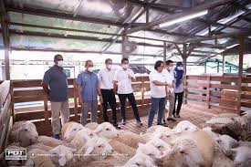 Usaha beternak kambing adalah usaha peternakan, dan pengembangan kambing. Pdt Kunjungi Osman Goat Farm Bagi Melihat Sistem Penternakan Kambing Tenusu Pedaging Permodalan Darul Ta Zim