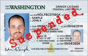 How To Find Out If Your Driver's License Is Suspended?