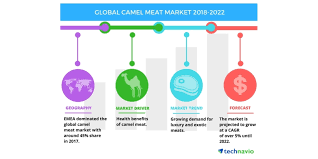 Camel meat is a good source of nutrients for the people living especially in the arid and urban areas. Top Factors Driving The Global Camel Meat Market Technavio Business Wire