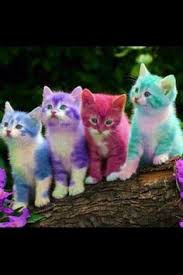 Home » hewan , kucing » kumpulan 21 animasi kucing ngantuk bergerak. 51 Ide Hewan Dan Peliharaan Hewan Anjing Anjing Lucu