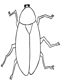 Or go to a sample answer page Pin On Animal Coloring Pages