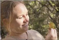 Truck stuck in ditch stolen; thief sent to jail