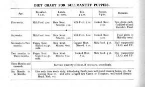 Bull Mastiff Puppy Food Goldenacresdogs Com