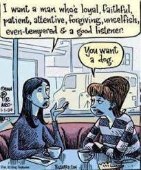 Do you like clever word jokes? Pin By Alexei Vladimirsky On English Funny Quotes Funny Pictures Funny Comics