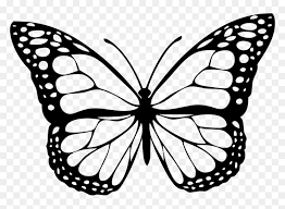 Teal and pink butterflies outline, butterfly, butterflies and lines, watercolor painting, text, desktop wallpaper png. Transparent Butterfly Outline Png Black And White Butterfly Png Png Download Vhv