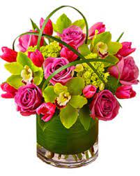 We did not find results for: Santa Monica Florist Edelweiss Flower Boutique Beverly Hills West La