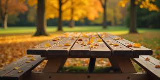 The Benefits of Using Treated Timber for Outdoor Projects