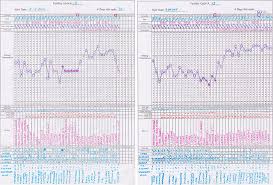 Charting Basics Understanding Your Cycle Pretty Neat Living