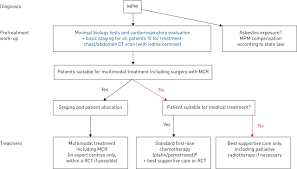 Diagnosing mesothelioma is difficult because doctors rarely encounter the disease. Ers Ests Eacts Estro Guidelines For The Management Of Malignant Pleural Mesothelioma European Respiratory Society