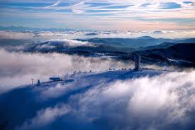 Liftverbund Feldberg Schneesicherer Winterspass Im Schwarzwald In 2020 Feldberg Schwarzwald Hochschwarzwald Schwarzwald