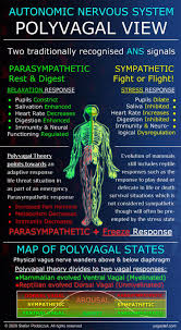 Check spelling or type a new query. Polyvagal Theory Yoga Practice Yogastef Movement Synergy Meditation