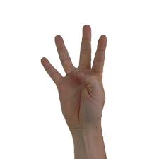 I also share my top tips for growing cacti. American Sign Language Number 4 Pics4learning