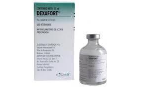 Mestiero soldesanil il desiderio di. Dexafort Dexamethasone Uses Side Effects Interactions Dosage Pillintrip