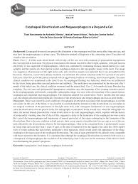 Treatment for megaesophagus is directed at the underlying disease or associated conditions. Pdf Pub 249 Esophageal Diverticulum And Megaesophagus In A Dog And A Cat