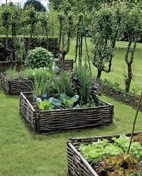 Barrieres En Branches De Chataignier Delimitent Les Carres Du Potager Potager Amenagement Jardin Idee Jardinage