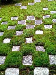 Ewa In The Garden Green Design Solutions Moss Carpets Ground Cover Moss Garden Creeping Thyme