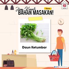 Daun ketumbar ini bisa dipakai sebagai penyedap masakan terutama masakan berkuah seperti sup. Pmiupm Official On Twitter 1 Daun Ketumbar Bayam Daun Bawang Dan Daun Sup Kalau Keliru Lagi Antara Daun Ketumbar Dan Sup Boleh La Cuba Hidu Ye Https T Co Tthjo7hzge Twitter