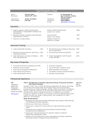 system consultant resume
