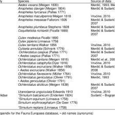 Image result for Erythrocephalum decipiens