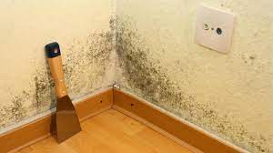 Ein fauliger geruch in den eigenen vier wänden die ersten anzeichen für schimmelbefall in der wohnung zeigen sich durch einen modrigen und fauligen geruch in der wohnung. Tipps Gegen Schimmel In Der Wohnung Zdfmediathek