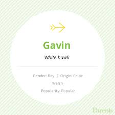 Baby Name Gavin Baby Names Baby Names And Meanings Baby Girl Names