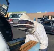 Check spelling or type a new query. New Mexico Man Finds 15k Bees In His Car After Grocery Shopping